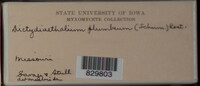 Image Associated With the Occurence